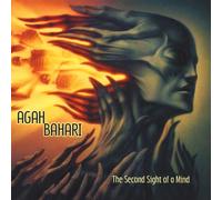 Second Sight of a Mind