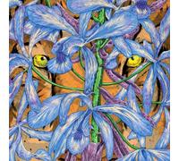 Second Storey - Margosa Heights