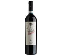 Secondo Marco Valpolicella Ripasso DOC Classico Superiore 2019 0,75 l