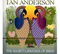 Secret Language of Birds