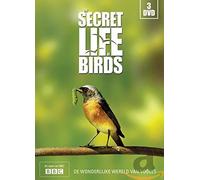 Secret life of birds (DVD)