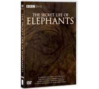 Secret Life of Elephants - The Secret Life of Elephants [Edizione: Regno Unito]