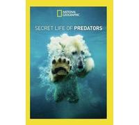 Secret Life Of Predators (DVD)