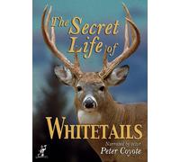 The Secret Life Of Whitetails – Narrato da Peter Coyote – DVD