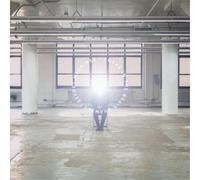 Secret Machines Awake in the Brain Chamber (Vinyl LP) 12" Album