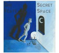 Secret Space Split (Vinyl LP)