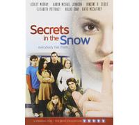 Secrets In The Snow (DVD) Aaron Michael Johnson Hollie Shay Vincent Seidle