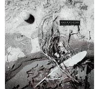 David Sylvian - Secrets Of The Beehive (COLOR LP) Nuovo Sigillato Vinile