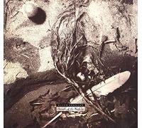 Secrets of the Beehive