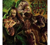 Sectesy In the Secretion of Upcoming Days (Vinyl LP) 12" Album