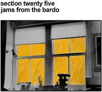 Section 25 Jams from the Bardo (CD) Album