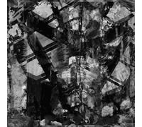 Sectra Through the Static (CD) Album