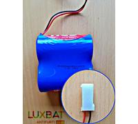 SECURITY CA' 2ER34615M 7.2V 13Ah Pacco Batteria SAFT al Litio FANSO