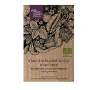 Sedano 'Green Utah' (Apium graveolens) 400 Semi