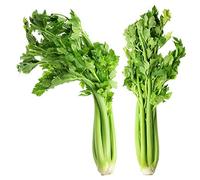 Sedano"Groene Pascal" - vividamente verde, ideale per zuppe - semi