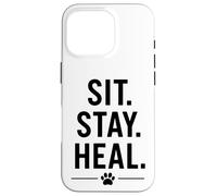 Sedersi, rimanere, guarire. Design comfort cane terapeutico Custodia per iPhone 16 Pro