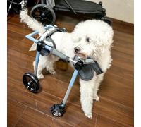 Sedia a rotelle leggera in alluminio - Carrello per la mobilità a 4 ruote per cani disabili, supporto completo per animali domestici, misure da XS a XXL, ideale per esigenze di riabilitazione e