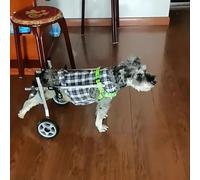 Sedia a rotelle leggera per supporto riabilitativo per la mobilità del cane, supporto per gambe per aiutare gli animali domestici a stare in piedi (XS)