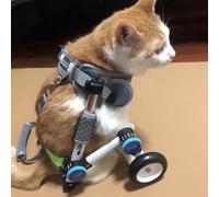 Sedia a rotelle leggera regolabile per piccoli animali domestici, morbida imbracatura inclusa, ideale per cani e gatti disabili, aiuto riabilitativo per la mobilità