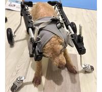 Sedia a rotelle per animali domestici, supporto a 4 ruote per cani e gatti con lesioni alle gambe o disabilità, aiuto riabilitativo per animali domestici, regolabile e durevole