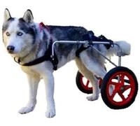 Sedia a rotelle per cani a 2 ruote Sedia a rotelle per cani regolabile per cani La convalida della zampa posteriore aiuta i cani disabili (taglie: L, XL)
