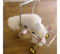 Sedia a rotelle per Cani a 4 Ruote Approvata dai veterinari per Cani disabili, paralizzati e Anziani - Ausilio per la Mobilità in Alluminio Leggero per Razze Piccole, Medie e Grandi (XX-Smal