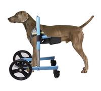 Sedia a rotelle per cani a gamba anteriore, supporto per cani di taglia piccola, media e grande, tutore per cani disabili, supporto regolabile per la mobilità degli animali domestici attivi