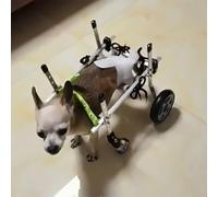 Sedia a rotelle per cani con 4 ruote per cani storpi, supporto completo regolabile per gambe posteriori/anteriori, carrello di aiuto alla mobilità degli animali domestici (XS)