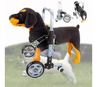 Sedia a rotelle per cani con gamba anteriore regolabile, supporto per la mobilità e per camminare e fare esercizio fisico