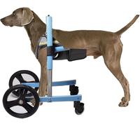 Sedia a rotelle per cani con supporto per zampe anteriori, supporto regolabile per la mobilità dei cani disabili, carrello su ruote per razze piccole e grandi