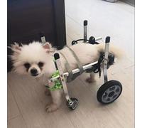 Sedia a rotelle per cani di piccola taglia - 4 ruote di aiuto per la mobilità con supporto regolabile per i fianchi, aiuta i cani disabili a camminare facilmente