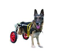 Sedia a rotelle per cani di taglia grande, ruote aggiornate per zampe posteriori, carrello per animali domestici, sedia a rotelle per cani, riabilitazione, imbracatura per aiutare a alzare (taglia: XL