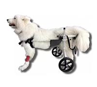 Sedia a rotelle per cani di taglia media e grande, carrello per la riabilitazione degli animali domestici, per bassotto disabili, supporto per mobilità e recupero, design regolabile, leggero e