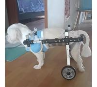 Sedia a rotelle per cani Did Pets - Carrello di riabilitazione regolabile a 2 ruote per cani e gatti, supporto per gambe posteriori passeggino, li Aiuto per animali feriti o anziani (taglia S)