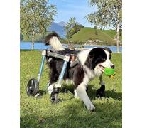 Sedia a rotelle per cani disabili, supporto completo, carrello per mobilità a 4 ruote, blu, regolabile per animali di taglia piccola, media e grande, migliora la mobilità e la qualità della vita