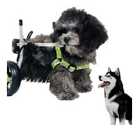 Sedia a rotelle per cani e gatti, sedia a rotelle leggera con 2 o 4 ruote, favorisce la libertà e la mobilità del tuo animale domestico