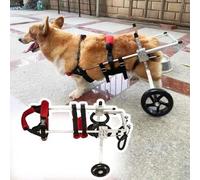 Sedia a rotelle per cani paralizzati - Supporto regolabile per gambe posteriori con imbracatura e ruote - Taglia L