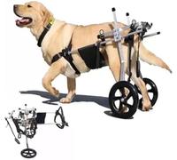 Sedia a rotelle per cani per gambe posteriori, carrello per mobilità regolabile per cani disabili, veicolo di supporto per gambe posteriori paralizzate