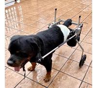 Sedia a rotelle per cani per gambe posteriori, comodo carrello pieghevole per la riabilitazione degli animali domestici, per recupero della mobilità e supporto delle gambe, facile da montare