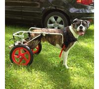 Sedia a rotelle per cani per gambe posteriori, supporto per la mobilità del cane di grandi dimensioni, passeggino per riabilitazione, ruote da passeggio, imbracatura di supporto per il recupero delle
