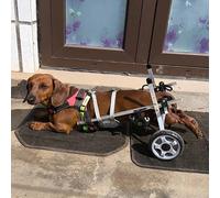 Sedia a rotelle per cani per gambe posteriori, supporto regolabile per la mobilità degli animali domestici, supporto leggero per gambe del cane, ideale per cani attivi