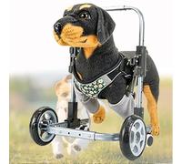 Sedia a rotelle per Cani per Zampe Anteriori, carrelli per Cani di Piccola Taglia con 4 Ruote, ausili per la Mobilità dei Cani Durante Le Passeggiate, Sedia a rotelle per Animali Domestici c