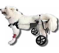 Sedia A Rotelle per Cani Sedia A Rotelle per Cani di Taglia Media Grande per Zampe Posteriori, Recupero del Bassotto per Cani Assistito Assistito, Carrello per La Riabilitazione degli, XL Size