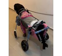 Sedia a rotelle per cani, supporto completo regolabile per cani disabili, facile da montare per animali domestici tra cui Shiba Inu e Labrador