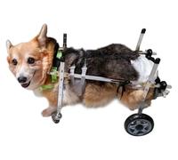 Sedia a rotelle per zampe posteriori a 4 ruote, carrello per la mobilità degli animali domestici con supporto per le gambe in metallo, passeggino riabilitativo per cani di piccola taglia (design più