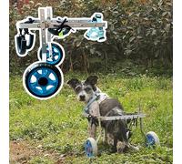 Sedia a rotelle per zampe posteriori paralizzate, supporto per la mobilità regolabile per il recupero del cane, carrello leggero per la riabilitazione degli animali domestici per cani di taglia media
