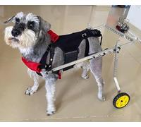 Sedia a rotelle regolabile a 2 ruote per cani e gatti, taglia M, per supporto gamba posteriore, ideale per animali domestici feriti o disabili di taglia media e grande