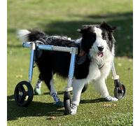 Sedia a rotelle regolabile per cani a 4 ruote per zampe posteriori, aiuto per la mobilità degli animali domestici per cani disabili di taglia piccola, media e grande, migliora la mobilità e la qualità