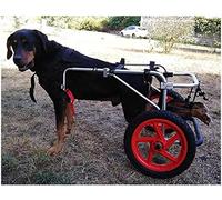 Sedia a rotelle Regolabile per Cani da Compagnia per Zampe Posteriori per Cani disabili di Piccola/Media/Grande Taglia assistita da Passeggio in Auto per Zampe Posteriori da 15~50 cm cucciol