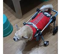 Sedia a rotelle regolabile per cani di grandi dimensioni, 2/4 ruote, aiuto per la mobilità degli animali domestici per cani anziani con artrite e problemi alle gambe posteriori, supporto per tutti i